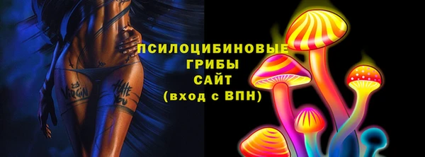 ECSTASY Белокуриха