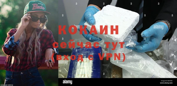 ECSTASY Белокуриха